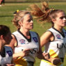 UNSW Eastern Suburbs Stingrays