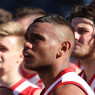 St George Dragons