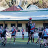 AFL Sydney Volunteer Week